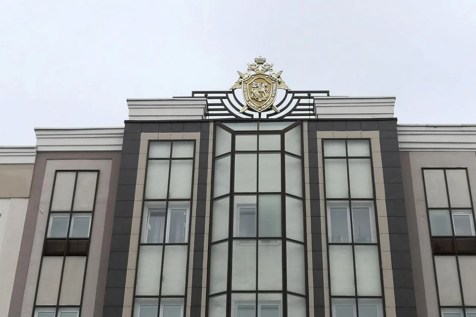 Гендиректора предприятия подозревают в уклонении от налогов в Липецке