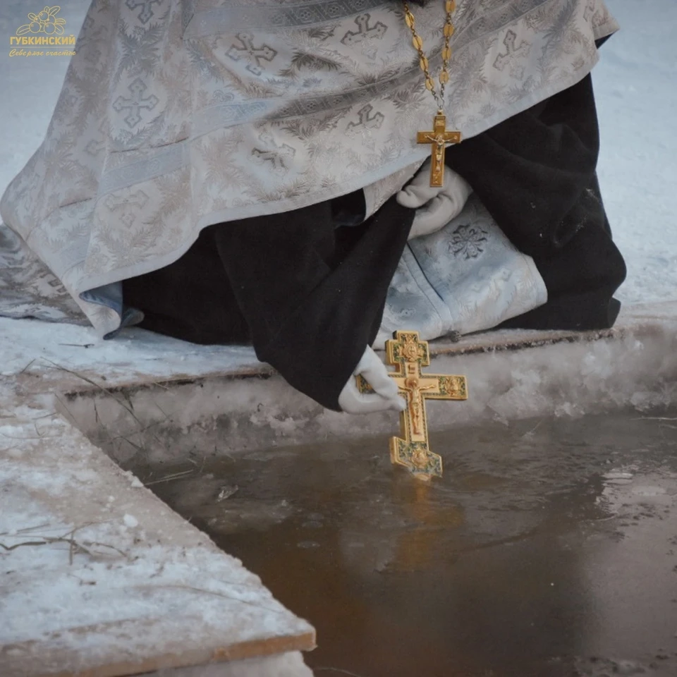 Фото: администрация Губкинского
