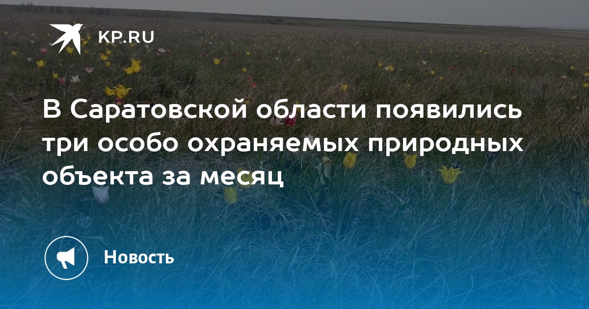 Цели создания особо охраняемых природных территорий. Цели создания особо охраняемых природных территорий