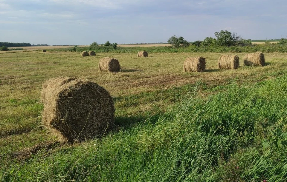 В Херсонской области проверяют земельные участки