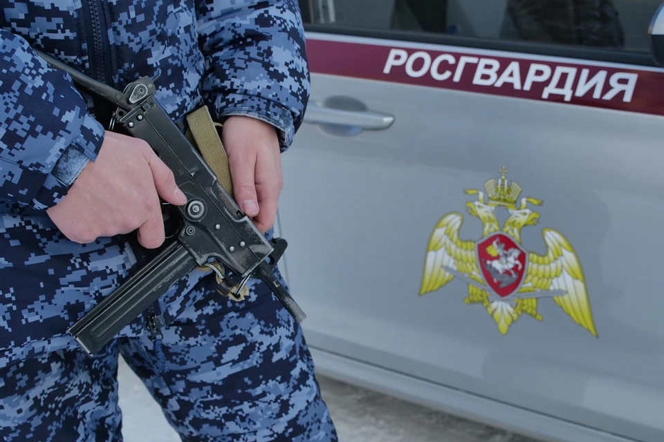 В Ульяновске мужчина пытался за пазухой вынести из магазина стройматериалы