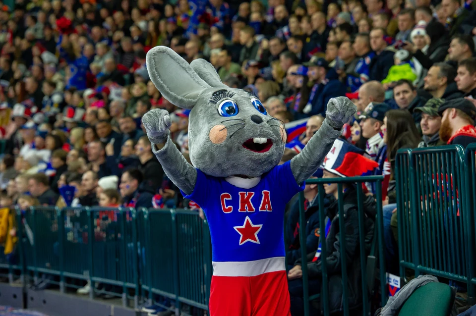 игра динамо. динамо россия ска футбол. с каким счетом закончился матч динамо. матч динамо сегодня футбол. с каким счетом закончился матч динамо.