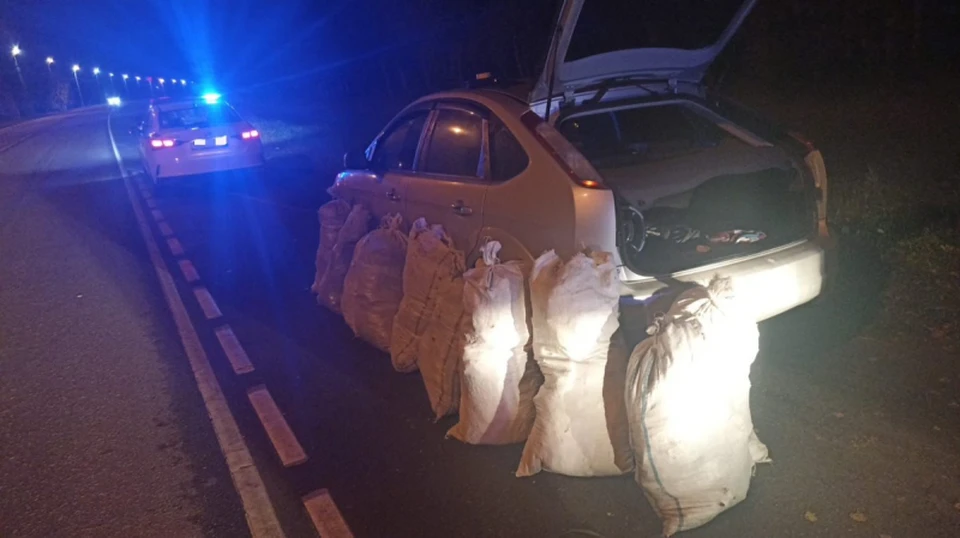 Fortnite карта горный городок. грот фортнайт 12 сезон. цезарь бильзен ведьмак. обыщите хранилище. обыщите хранилище.