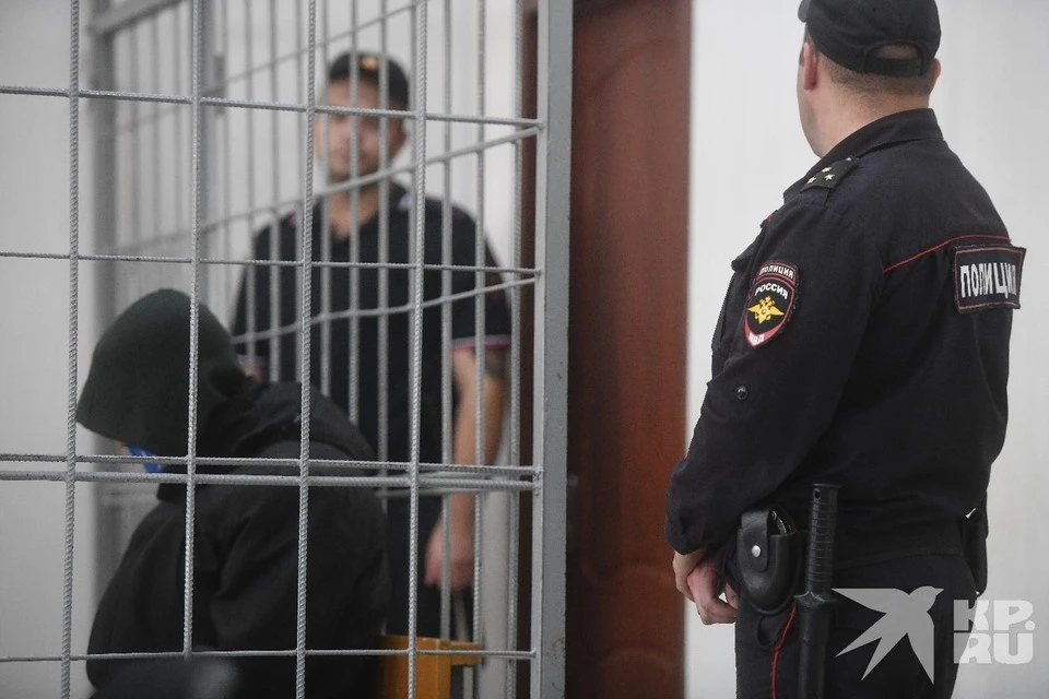 Суд по делу о серийной педофилии с распространением порнографии идет в Рязани.