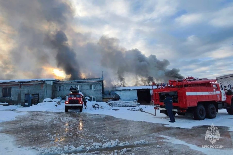 До прибытия пожарных из здания эвакуировались десять человек. Фото: МЧС России