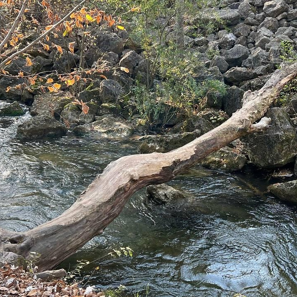 Проблемы большой воды: как Севастополю поладить со стихией - KP.RU