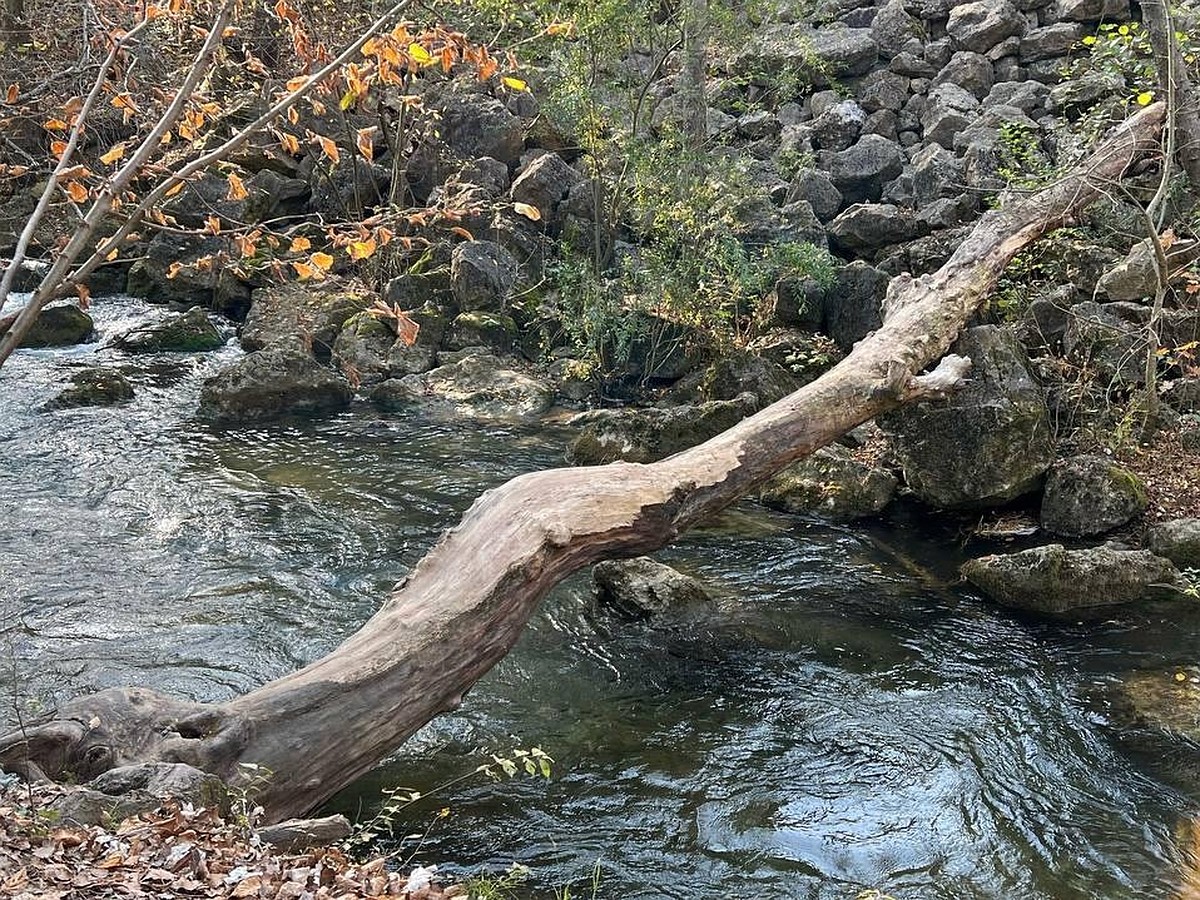 Проблемы большой воды: как Севастополю поладить со стихией - KP.RU