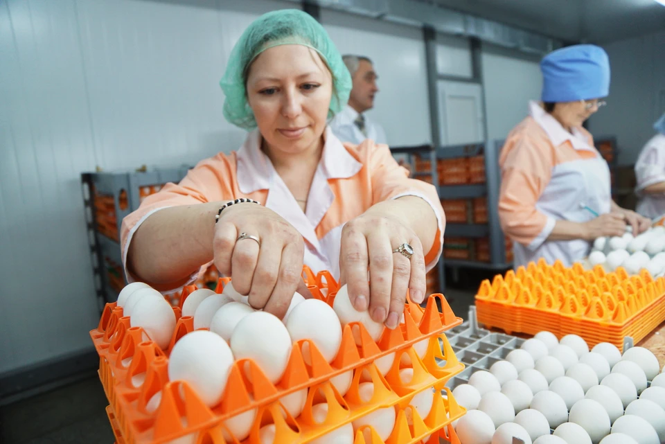 В Ульяновской области в 2023 году произвели 220,4 млн яиц