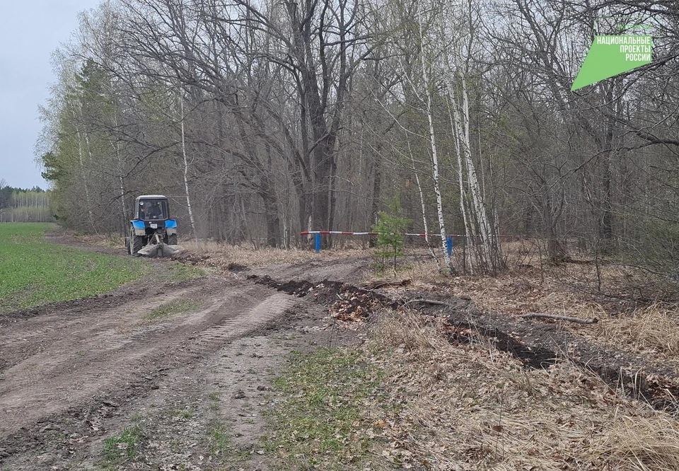 Ульяновский минприроды подготовил план работы в лесных угодьях в сезон пожаров. ФОТО: минприроды УО