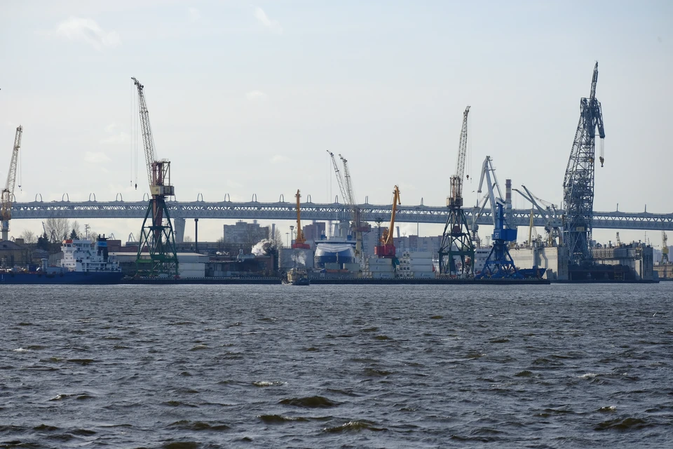 Инцидент произошел в порту Петербурга.