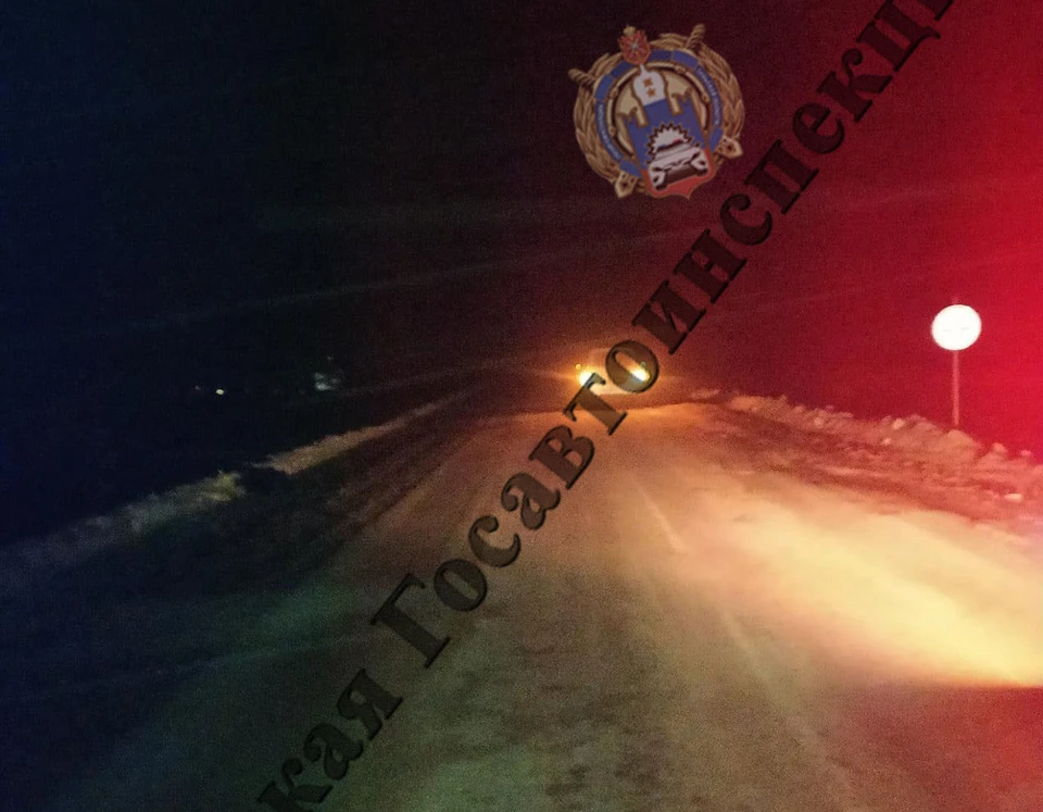 Смертельное ДТП в Белевском районе Тульской области: погибли два пешехода