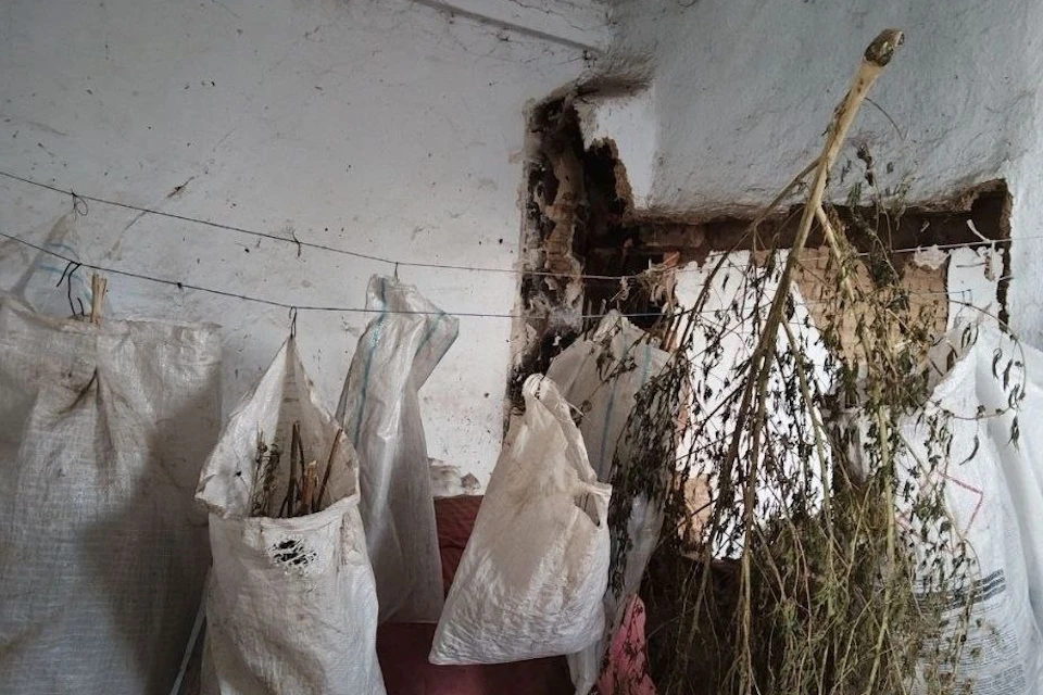 В доме жителя Алешкинского района нашли почти четыре килограмма марихуаны Фото: ГУ МВД России по Херсонской области
