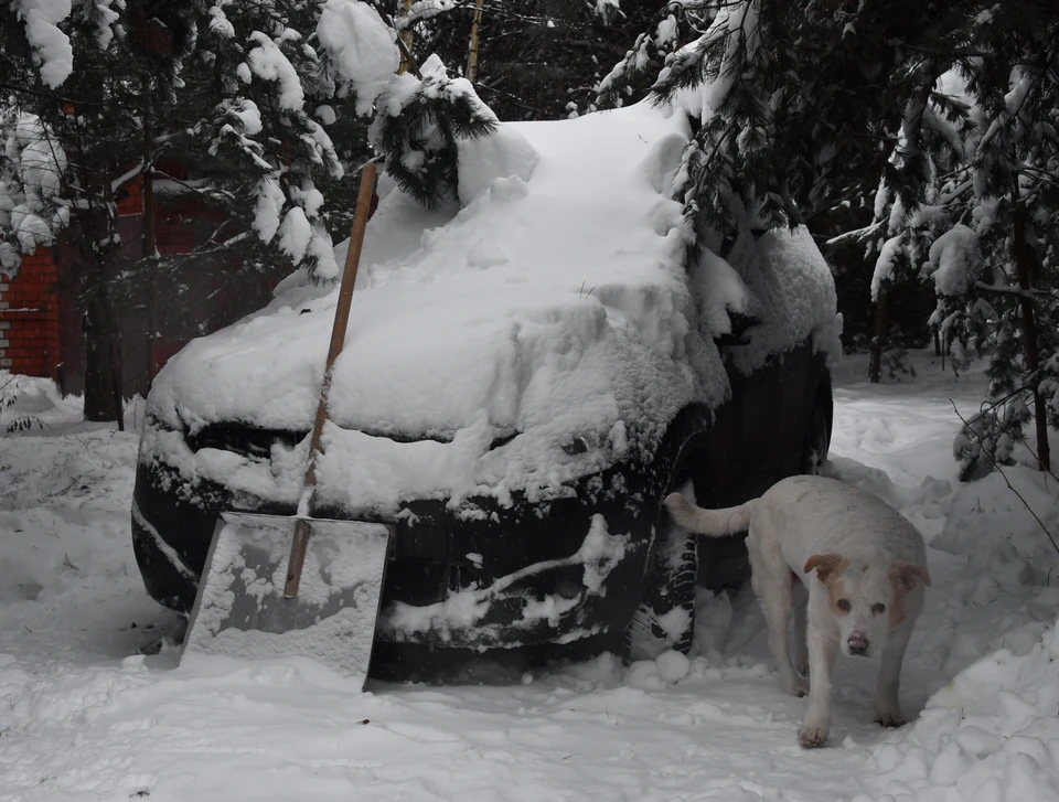 Ульяновские спасатели вызволили из снежного плена 8 автомобилей