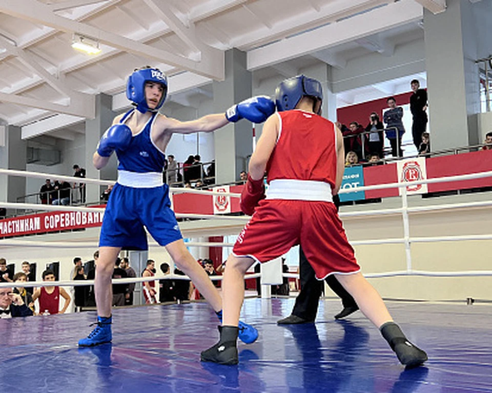 Чемпионат и первенство Тульской области по боксу стартовали в Щекино тульской области