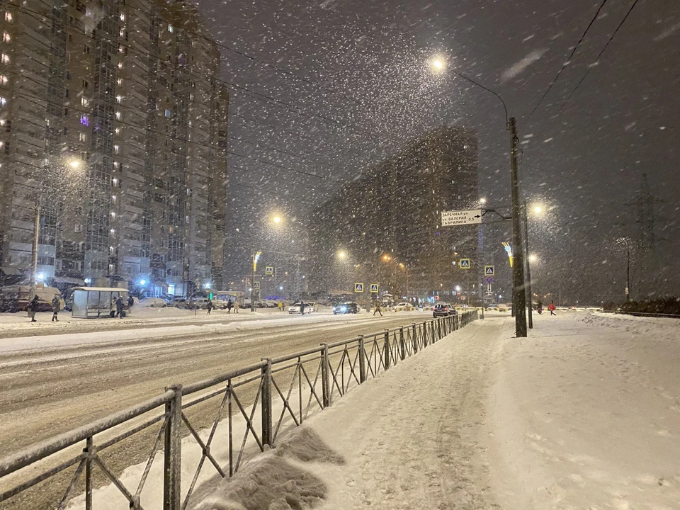 Солнечные дни установились надолго