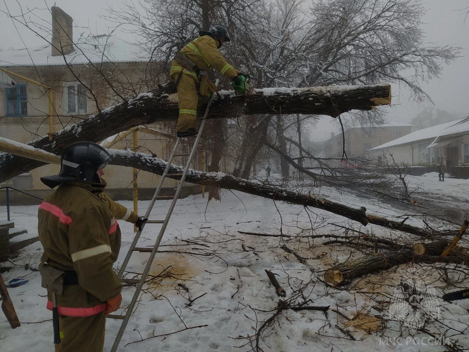 Спасатели убрали дерево, упавшее на газопровод