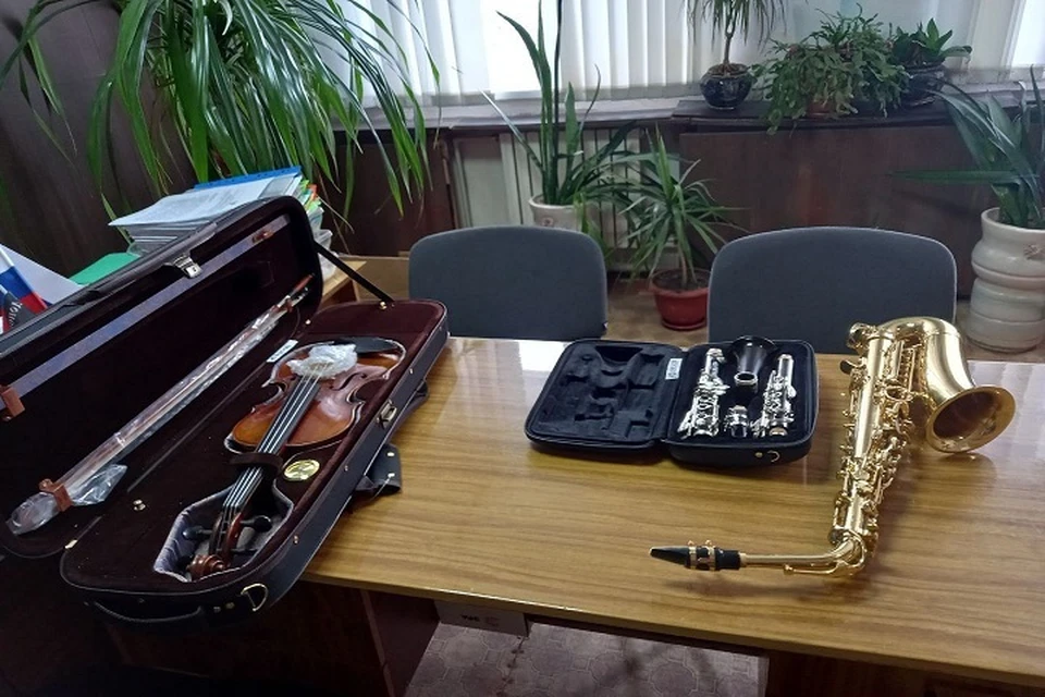 В детскую музыкальную школу Кировского ДНР доставили новые инструменты. Фото: ТГ/Толстыкина