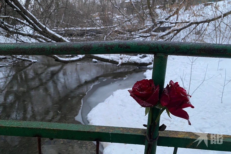 Буквально в десяти метрах от пешеходного мостка погиб 19-летний Иван Брысин.