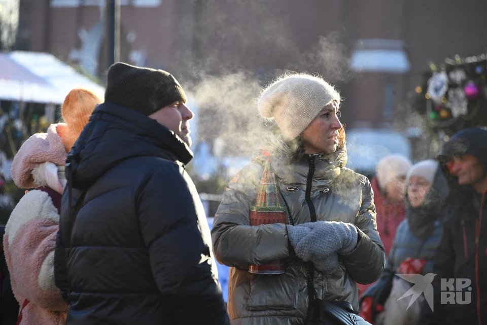 Рязанцев предупредили о резком похолодании 14 февраля и в последующие дни.