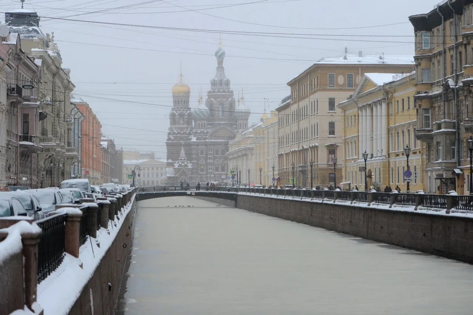 Небольшие снегопады пройдут в Петербурге 14 февраля.