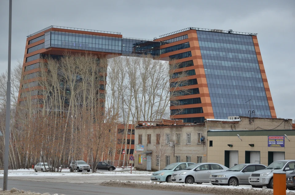 Ученые из Академгородка поделились новыми исследованиями.