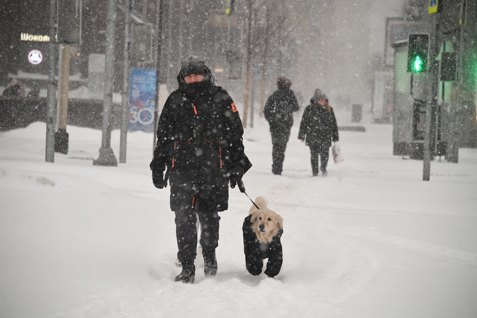 Снегопад в Москве