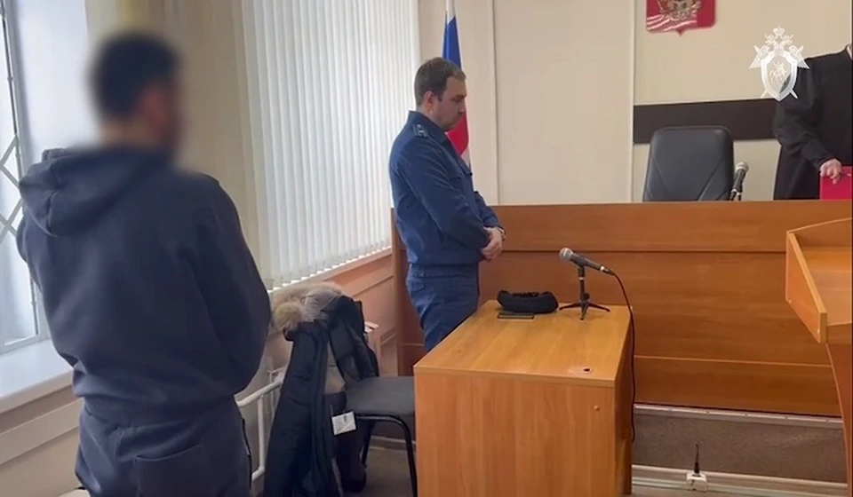 Водитель, обвиняемый в гибели 11-летней девочки в Прикамье, заключен под стражу. Фото: скрин с видео телеграмм-канала СУ СКР России по Пермскому краю