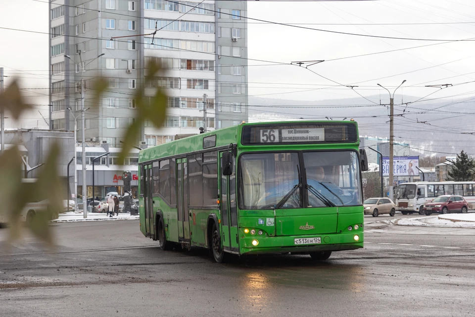 Красноярские перевозчики отправят выручку от QR-кодов бойцам СВО