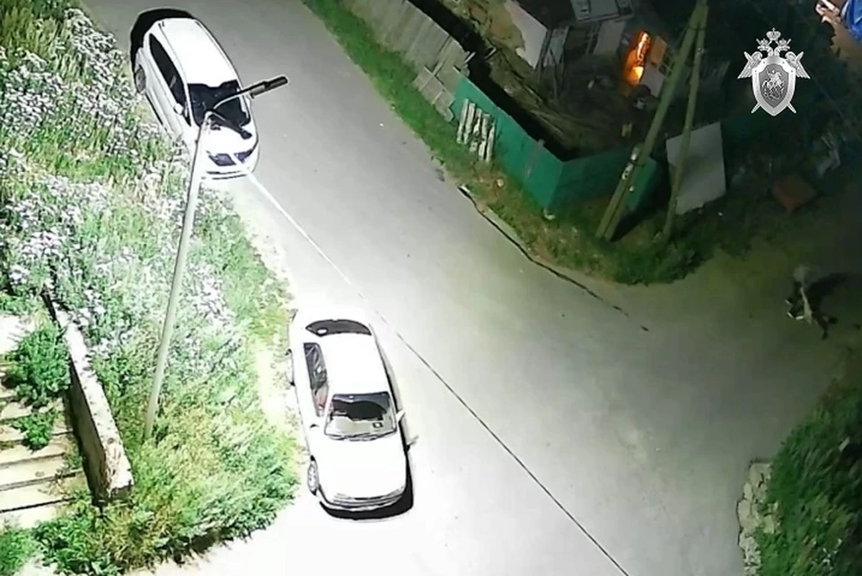 Мужчина тащил обмякшее тело друга через улицу. и добил в доме Фото: скриншот с видео