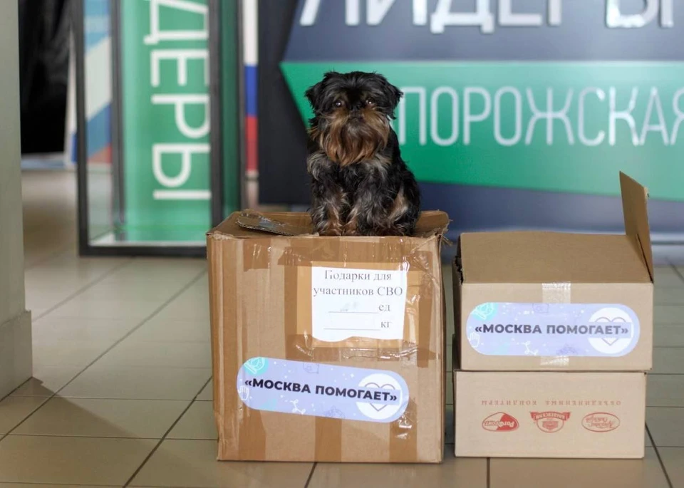 Активисты центра участвуют в самых разнообразных проектах, направленных на улучшение жизни в регионе и оказывают помощь животных. ФОТО: Евгений Балицкий