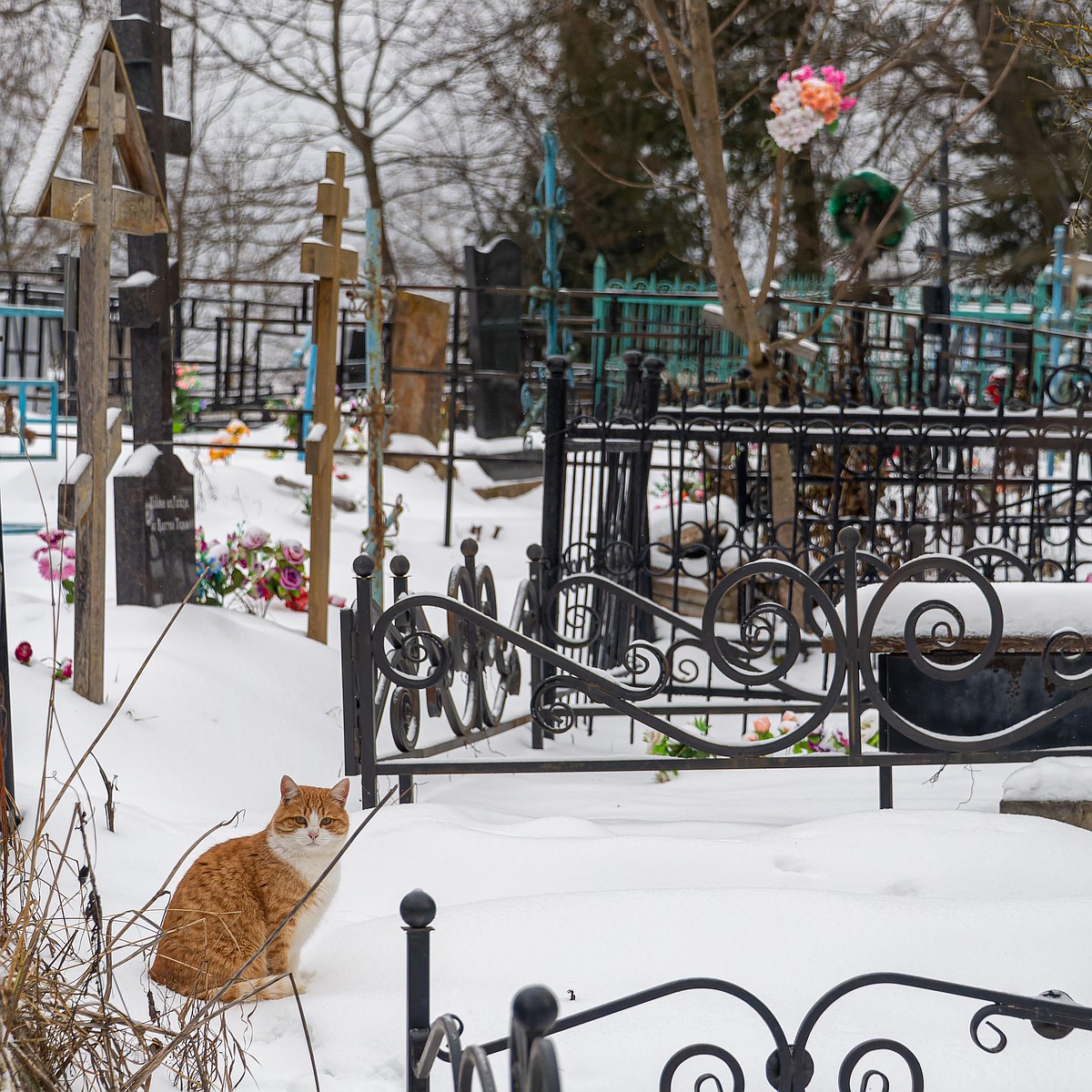 Заволжское кладбище в Архангельском расширили на два гектара - KP.RU