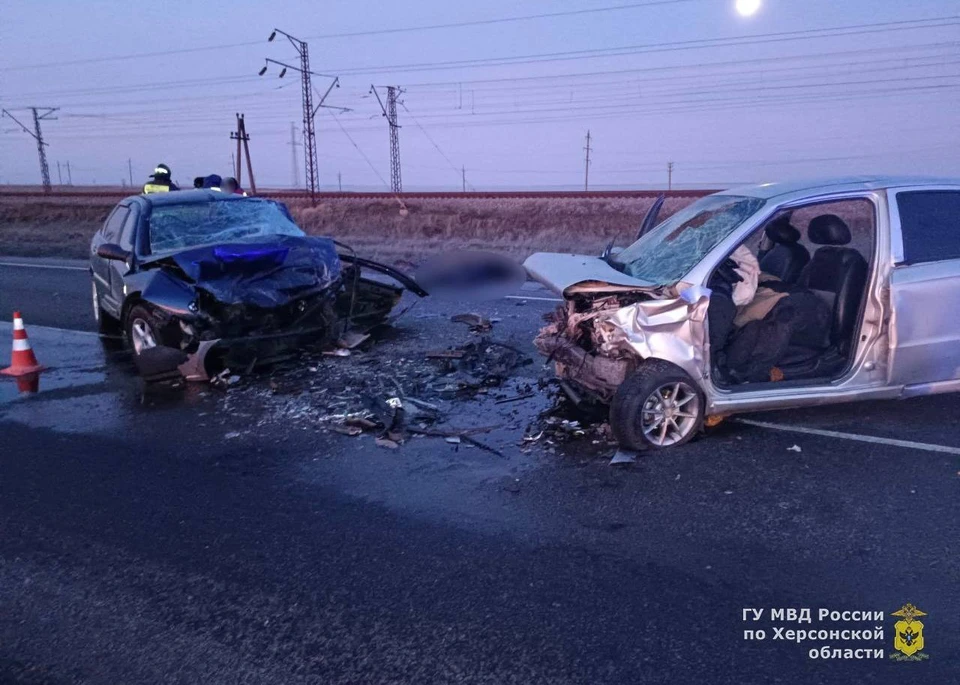 В Геническом районе произошло смертельное ДТП, в котором погибли оба водителя. ФОТО: ГУ МВД России по Херсонской области