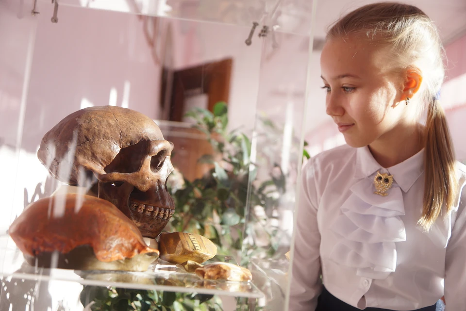 В Ульяновский краеведческий музей прибыл новый экспонат - неандерталец