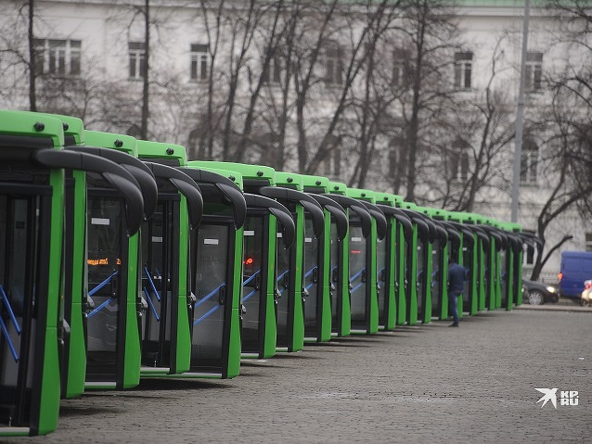 Новые автобусы в Нижнем Тагиле поставлены на муниципальные маршруты - KP.RU