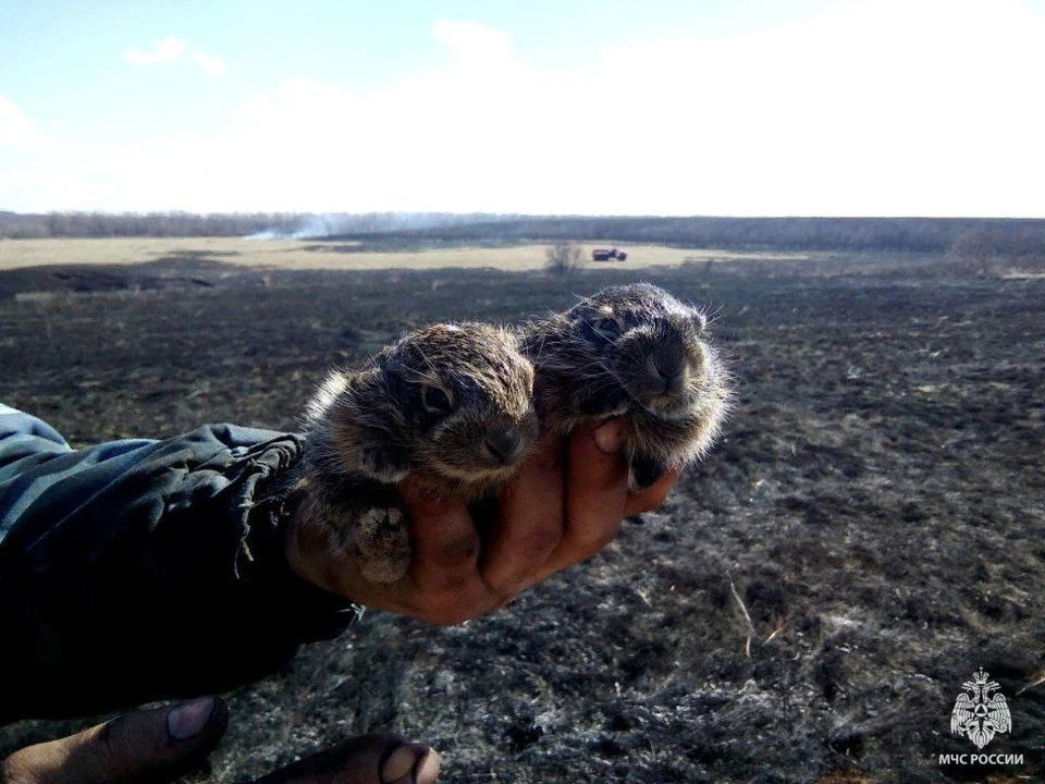 Фото ГУ МЧС о области