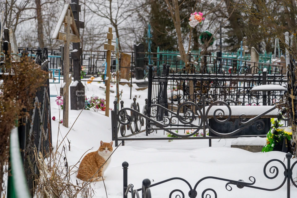 Фото: Фролов Михаил, "Комсомольская правда"