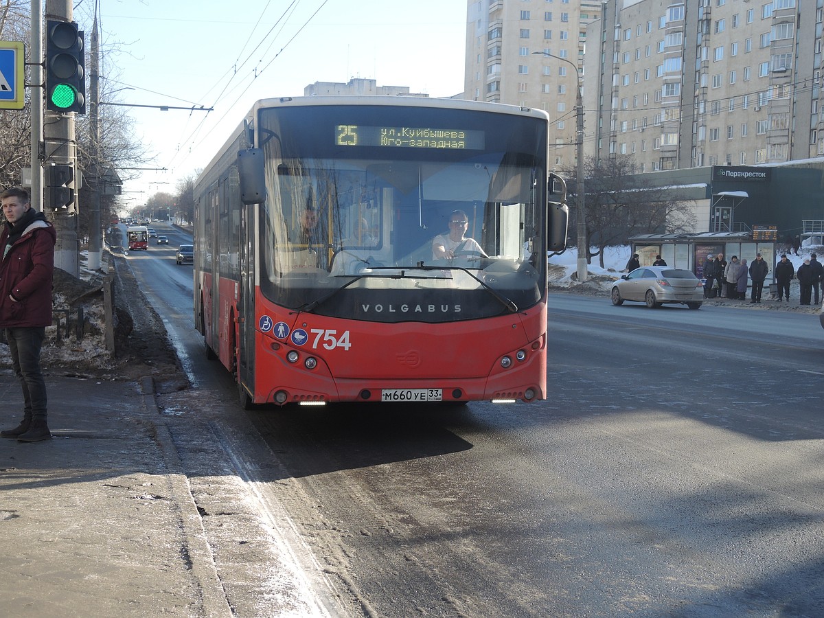 Во Владимире маршруты «ОКТО» поделили три перевозчика - KP.RU