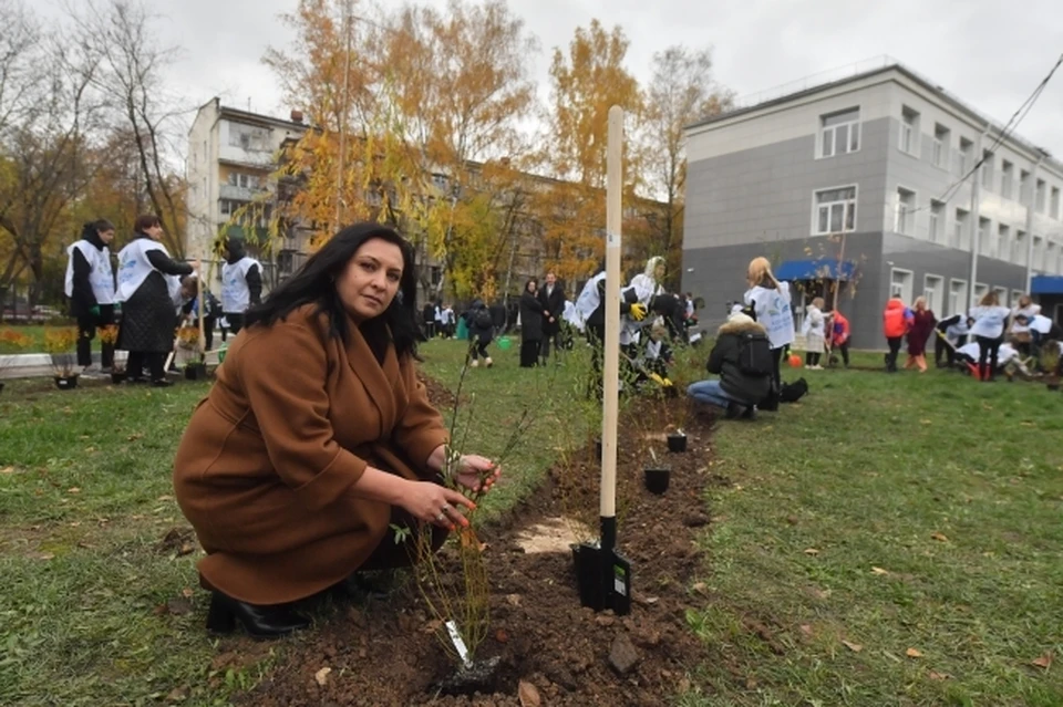 Новые «Сады памяти» появятся в Хабаровском крае
