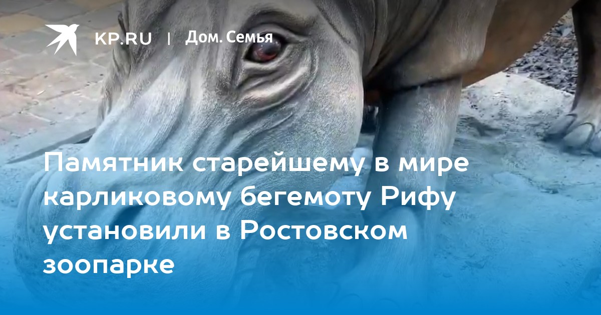 открытие памятника баграмяну в ростове. памятник скнарина в ростове на дону. памятник прядко в ростове. в ростове установили памятник жванецкому. памятник жванецкому на новодевичьем кладбище.