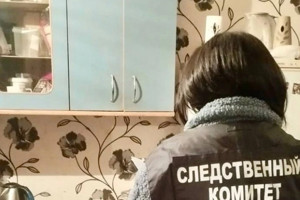 Уголовное дело направили в суд. Фото: СУ СК РФ по Удмуртии