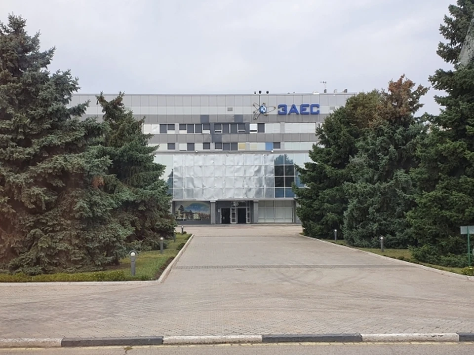 МАГАТЭ и "Росатом" обсудили безопасность Запорожской АЭС