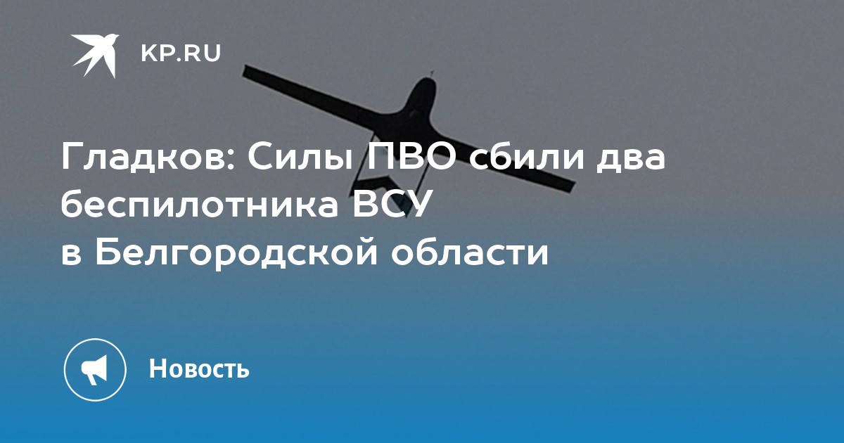 Система белгород. Центральная библиотека белгород. Волчанский мясокомбинат здание. Белгород ул шаландина 4к3. Ул гостенская 16 белгород.