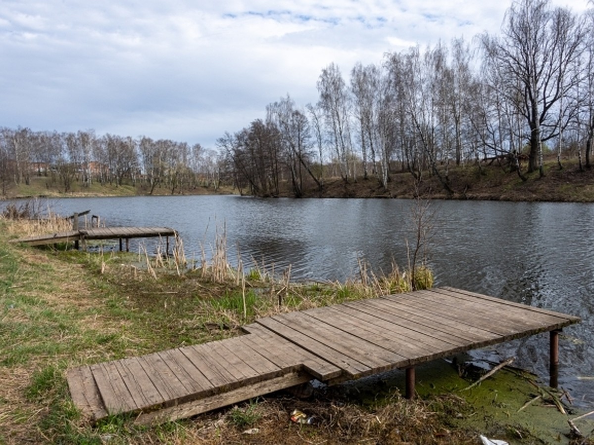 В Воронежской области 14 населенным пунктам угрожает половодье - KP.RU