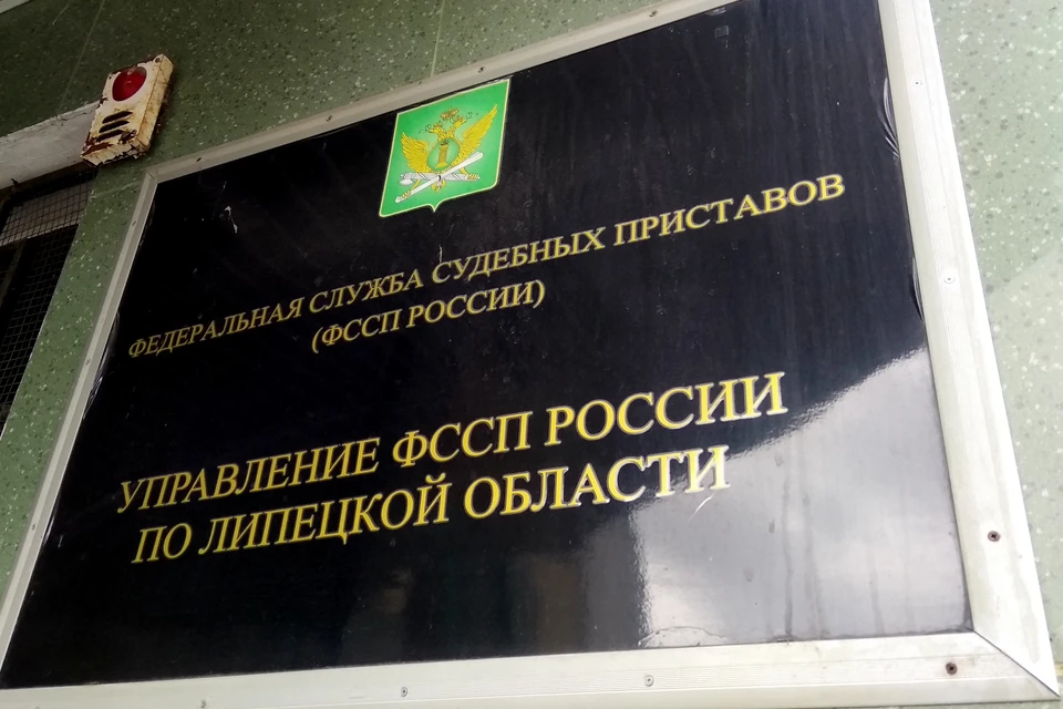 Житель Липецкой области оплатил 79 штрафов ГИБДД, чтобы управлять автомобилем