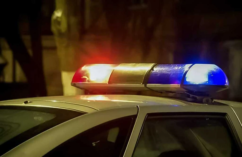 Нарушителя ждет суд. Фото: 40.мвд.рф