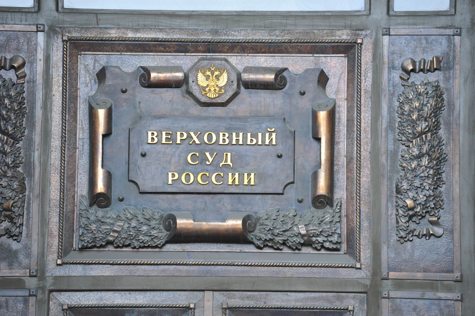 Депутат Хинштейн: Ирина Подносова подала заявку на пост главы Верховного суда РФ