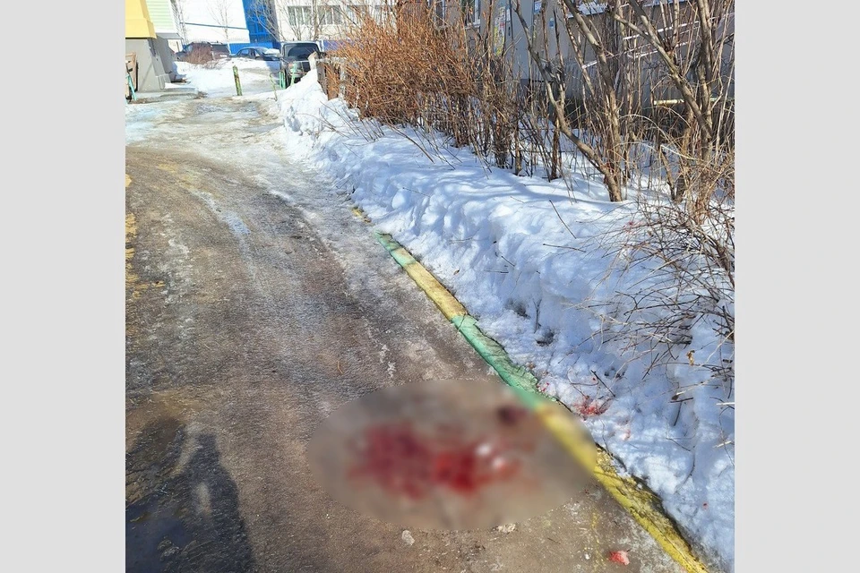 В Рязани пенсионер поскользнулся и разбил лицо на обледеневшей дороге.