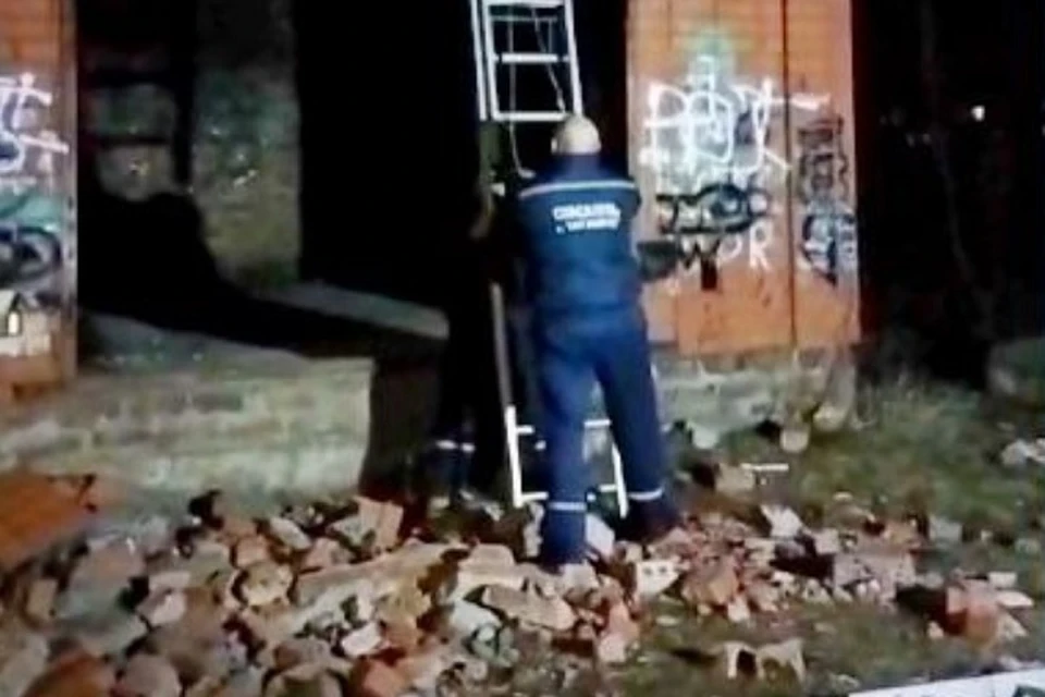 Девочку спустили на землю с помощью обычной лестницы. Фото: телеграм-канал МКУ «Управления защиты от ЧС» Таганроге