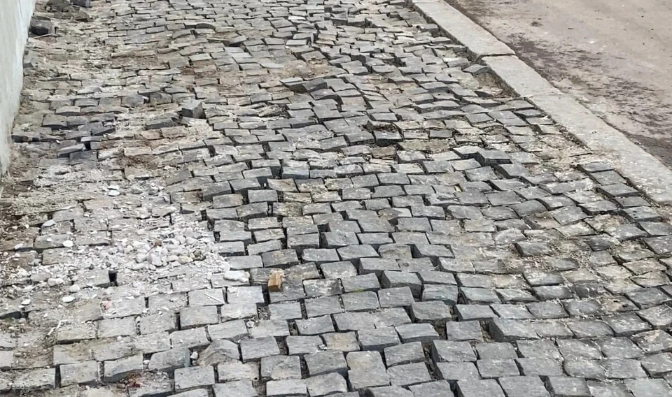 Фото ОНФ по Владимирской области