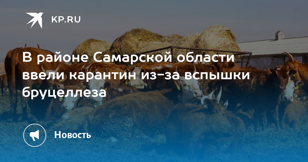 Алексеевское подслушано самарская область